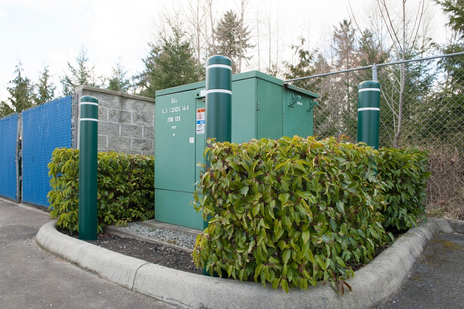 Green plastic bollard covers surround an important asset while complementing shrubbery.