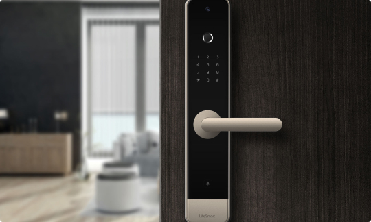 smart lock with doorknob