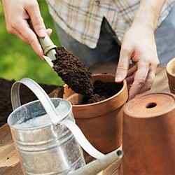 Container garden ideas | Schlage