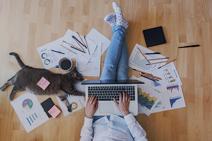 Woman using MacBook surrounded by paper charts and cat.